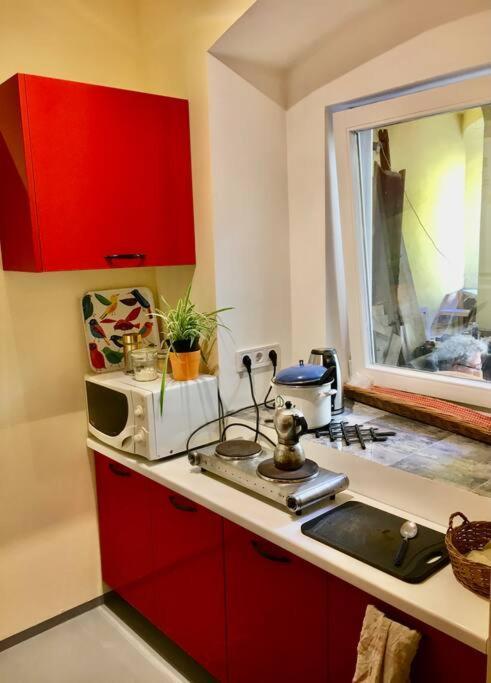 Vintage Studio Apartment, Garden And Free Parking Budapest Bagian luar foto