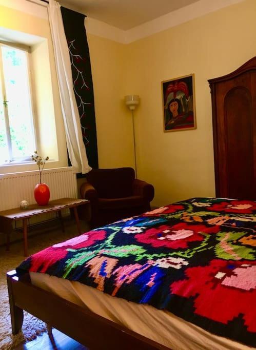 Vintage Studio Apartment, Garden And Free Parking Budapest Bagian luar foto