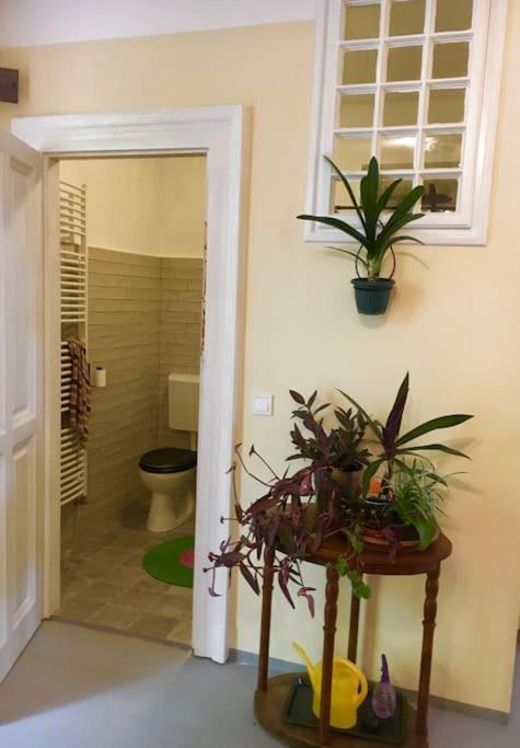 Vintage Studio Apartment, Garden And Free Parking Budapest Bagian luar foto